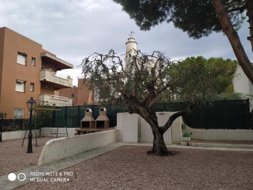 Un árbol delante de un edificio con un faro. en Apartamento, 3° línea de playa, en Cubelles