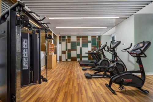 Fitness centrum a/nebo fitness zařízení v ubytování Hilton Garden Inn Guangzhou Airport Aerotropolis - Free shuttle to Airport
