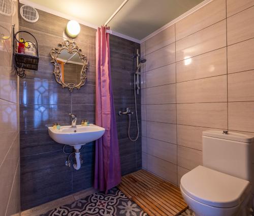 ein Bad mit einem Waschbecken, einem WC und einer Dusche in der Unterkunft Container Luxury House in Mytilini