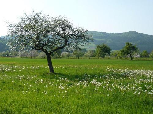 Φυσικό τοπίο κοντά σε αυτό το διαμέρισμα