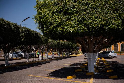 a row of trees in a parking lot at Holiday Inn La Piedad by IHG in La Piedad Cavadas