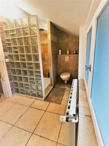 La salle de bains est pourvue de toilettes et d'une paroi en verre. dans l'établissement Le Cocoon avec parking gratuit, à Cuisery