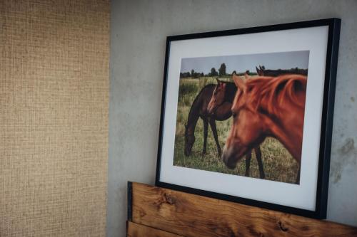 a framed picture of two horses in a field at Hajé Nieuwegein in Nieuwegein