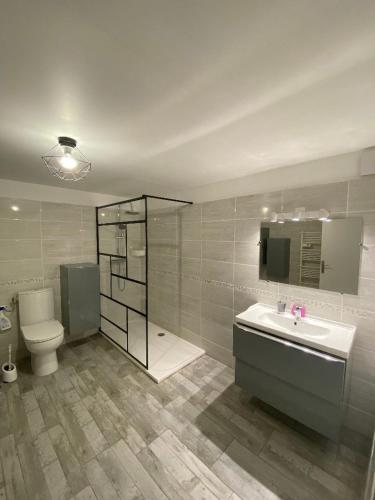 une salle de bain avec toilettes, lavabo et douche dans l'établissement appartement de charme proche de Moissac, à Labastide-du-Temple