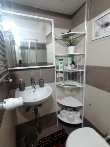 a bathroom with a sink and a toilet and a mirror at Da Adriana al vaticano in Rome