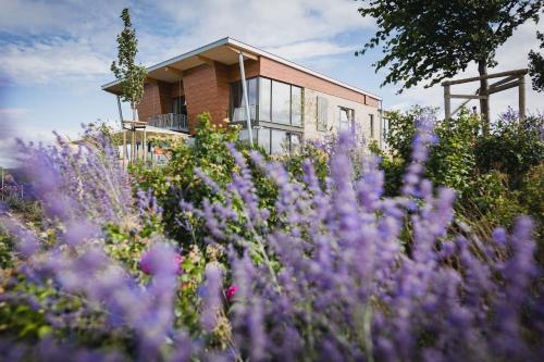 a house in the middle of a field of purple flowers at Weinzuhause Hotel-Restaurant-Vinothek in Mommenheim