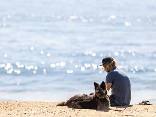 エル・メダノにあるLive Medano Mirazulの浜辺に犬を連れて座っている女性