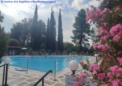 a swimming pool with trees and pink flowers at Ermis in Loutra Ipatis