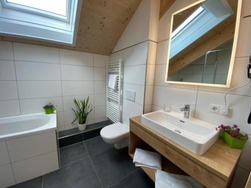 a bathroom with a sink and a toilet and a mirror at Alpenchalét Alpakablick in Sankt Lorenzen ob Murau