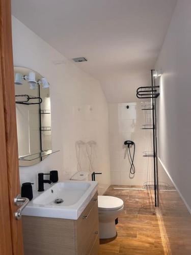 uma casa de banho com um lavatório, um WC e um chuveiro em Apartamento Mirador del Almendro em Tejeda