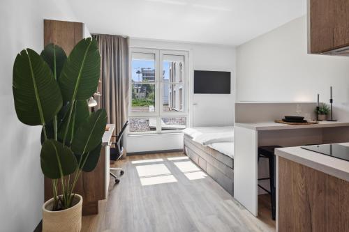 ein Hotelzimmer mit einem Bett, einer Küche und einer Pflanze in der Unterkunft Home and CoLiving Bonn I Aparthotel I Soft Opening in Bonn
