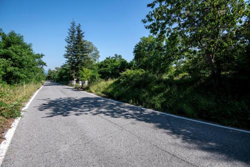 une route vide avec des arbres de chaque côté dans l'établissement 202 - Camera Mansardata tra le Cinque Terre e Portofino - Residence Cherry House, à Carro