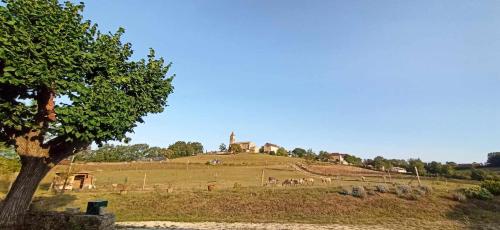 un champ comportant une colline et un groupe d'animaux y compris dans l'établissement La Grangette 24540 Vergt de Biron, à Saint-Martin-de-Villeréal