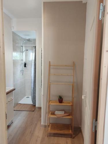 La salle de bains est pourvue d'une douche, d'un lavabo et d'une étagère. dans l'établissement La Saint Quentinoise (avec cour), à Saint-Quentin