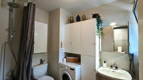 W łazience znajduje się pralka i umywalka. w obiekcie Studio Le Banga d'Ax w mieście Ax-les-Thermes