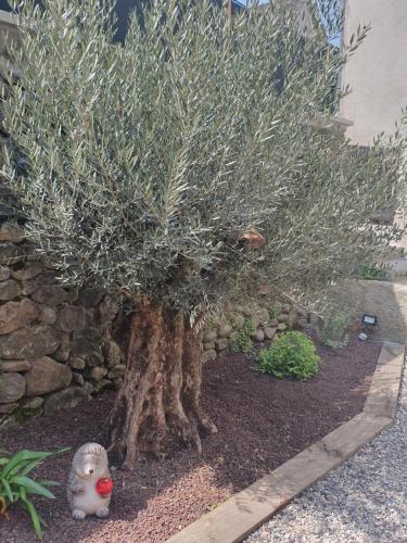 Κήπος έξω από το " Les copains d'abord "