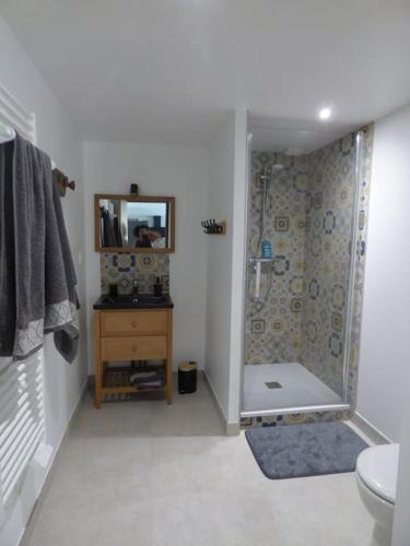 une salle de bain avec douche, toilettes et miroir dans l'établissement Petite maison en Brière., à Donges