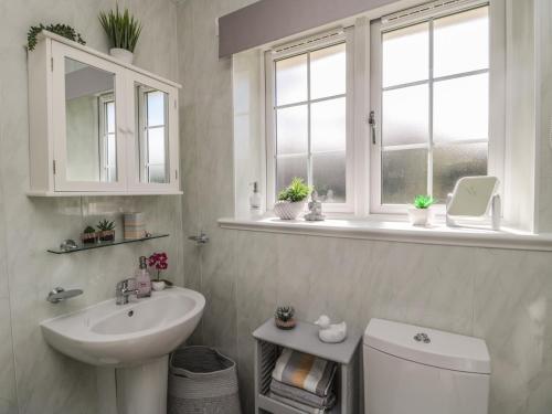 een badkamer met een wastafel, een toilet en ramen bij Island View Cottage in Morpeth