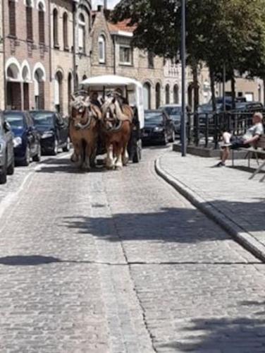 a horse drawn carriage on a city street at Kleine Dijk in Diksmuide
