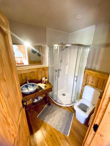 a bathroom with a toilet and a shower and a sink at Dulrush Self-Catering Lodges in Belleek