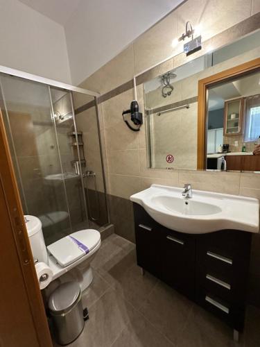 W łazience znajduje się umywalka, toaleta i lustro. w obiekcie Elegant Escapes 5 w Atenach