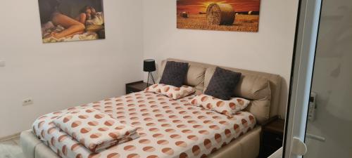 a bed with pillows on a couch in a room at Apartament cu 1 camera spatios ,luminos . in Cugir