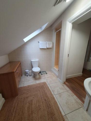 a bathroom with a toilet and a sink at Loft Apartment near Harry Potter Coaches in Watford