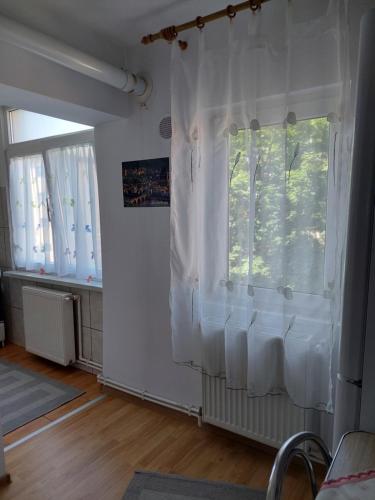 a room with a window with white curtains at Fely Room in Petroşani