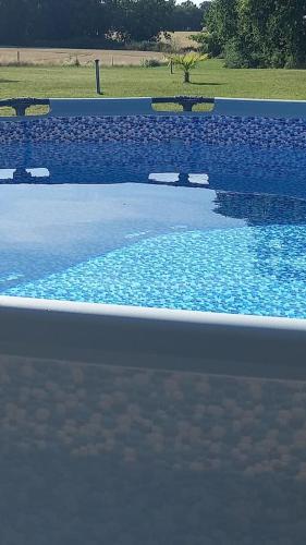 une grande piscine d'eau bleue avec des arbres en arrière-plan dans l'établissement Le Papillon, à Savigné