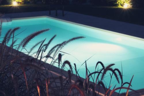 a swimming pool at night with tall grass at Relais I Secolari in Selva di Fasano