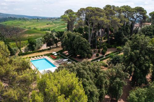 ヴィンチにあるExclusive Wine Resort - Villa Dianellaの敷地内のスイミングプールと木々の空中を望む