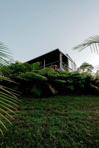 a house sitting on top of a lush green field at Waterfall Lodge in Carool