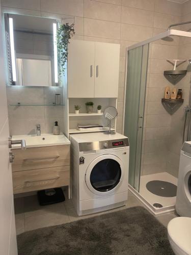 a bathroom with a washing machine and a sink at Luna,central,self-check in,AC,WI-FI, washer,free parking in Zaprešić