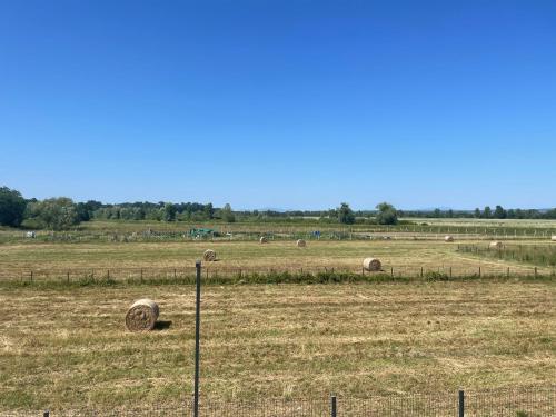 a herd of animals grazing in a field at Luna,central,self-check in,AC,WI-FI, washer,free parking in Zaprešić