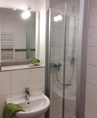 La salle de bains est pourvue d'un lavabo et d'une douche en verre. dans l'établissement Schmidts, à Herbstein