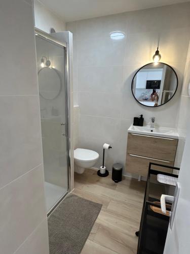 une salle de bain avec toilettes, lavabo et miroir dans l'établissement Studio neuf et central, à Antibes
