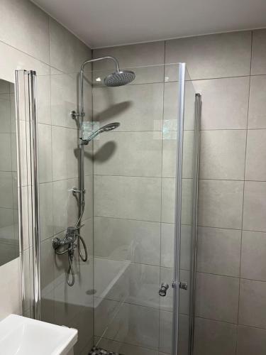 baño con ducha y puerta de cristal en Atostogų namelis, en Kurėnai