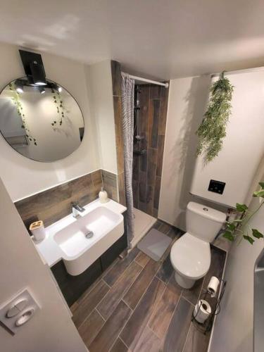 une salle de bain avec un lavabo, des toilettes et un miroir dans l'établissement Maison cosy, à Laval
