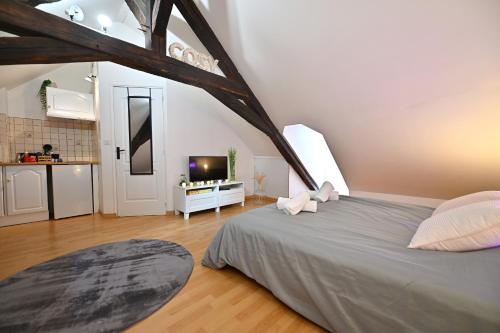 une chambre avec un lit et une télévision dans une pièce dans l'établissement Le Cosy du tambour d'argent, à Sens
