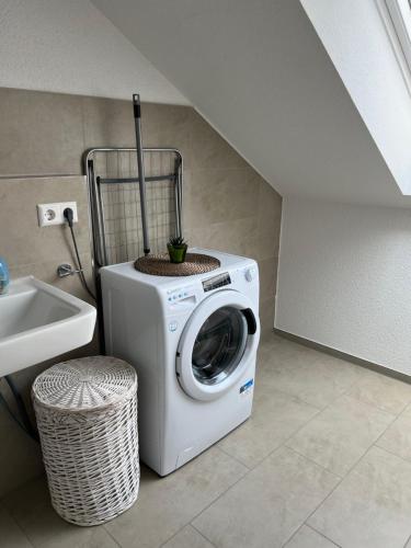a washing machine with a plant on top of it at New Age Boardinghaus Bad Wimpfen in Bad Wimpfen