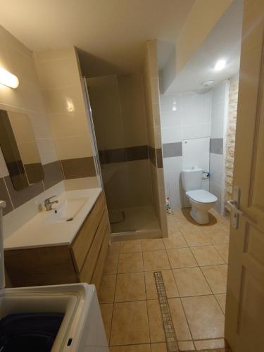 a bathroom with a shower and a sink and a toilet at La Buissière - Chambre d'Hôte La Forêt in Duravel