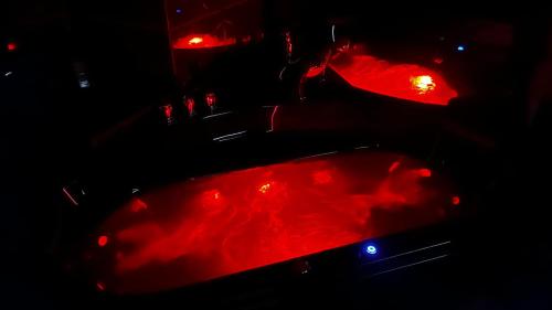 Вид на бассейн в BDSM Red Room Apartment или окрестностях