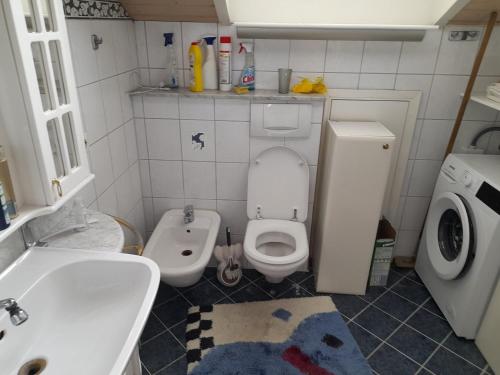 a small bathroom with a toilet and a sink at Trochtelfingen F1 in Trochtelfingen