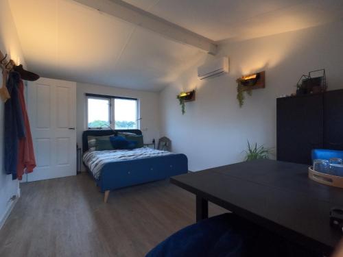 a living room with a bed and a window at Pancras Penthouspitality in Sint Pancras