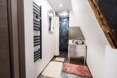 un piccolo bagno con lavandino e specchio di Appartement de la marquise - Designed by C.M a Sélestat