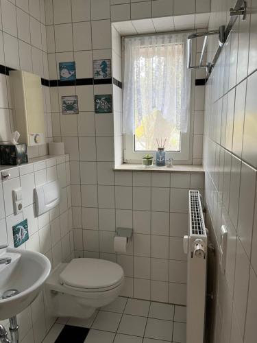 uma casa de banho com um WC, um lavatório e uma janela em Turmwohnung em Kreischa