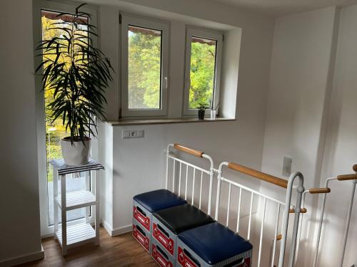 a crib in a room with two windows and a plant at Turmwohnung in Kreischa