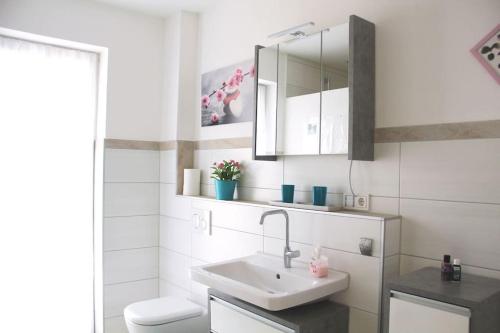 a white bathroom with a sink and a toilet at Wunderwelt Betzenstein familiär-ländlich-modern in Betzenstein