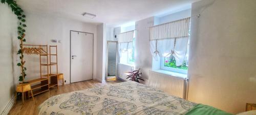 1 dormitorio con cama y ventana en Anna's Guesthouse, en Cluj-Napoca
