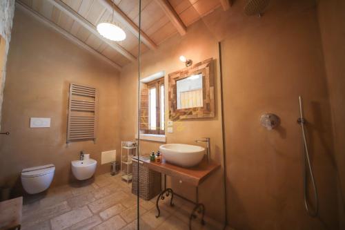 ein Bad mit einem Waschbecken, einem WC und einer Dusche in der Unterkunft Trulli&Dimore - Trulli di Montaltino in Polignano a Mare